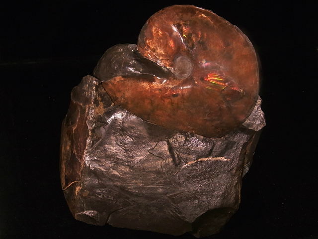 �A�������C�g���Ε��t��