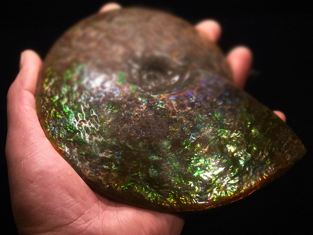 �������������茩����A�������C�g����