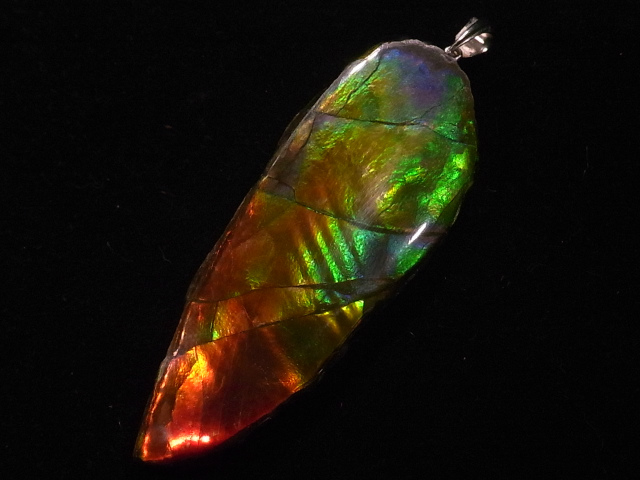 ���F�A�������C�g���[�X